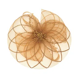 Radhu & Kabby Women Alligator Hair Clip-47