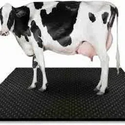 A87Black Cow Mat For all animals, BPA Free, Easy Clean And Waterproof Size 8*5 | Cow, Hamster Pet Mat-image-52