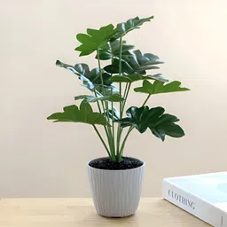 UMAI Green 1 Pieces Artificial Plant With Pot-17