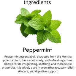 Zenuva Pure & Natural Peppermint Essential Oil - 15 ml image 5