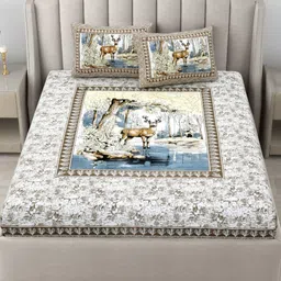 JAIPUR FABRIC Blue & White Floral Printed Cotton 180 TC King Bedsheet Set 2.74m x 2.28m-image-11