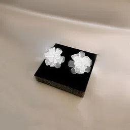 styledose Classic Studs Earrings-8