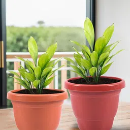 Kuber Industries Red & Orange 2 Pieces Versatile & Sturdy Flower Planters-image-96