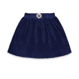 Girls Accordion Pleated Satin Flared Skirt-24