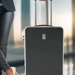 THE CLOWNFISH Globetrotter Cabin Trolley Bag-image-33