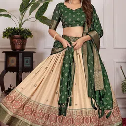 Aika Printed Foil Print Ready to Wear Lehenga & Unstitched Blouse With Dupatta-18