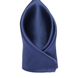 Alvaro Castagnino Men Navy Silk Pocket Square-picture-44