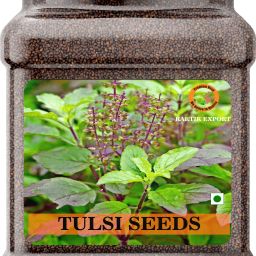 Ram Tulsi Seeds for Eating, Rama Tulsi Beej For Eating Seed-image-5