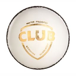 SG Club Pack Of 2 Leather Cricket Ball-27