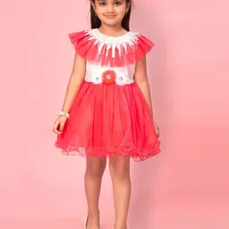 BAESD Net Fit & Flare Dress-picture-35