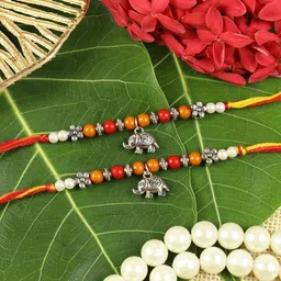 Asthetika Thread Rakhi-46