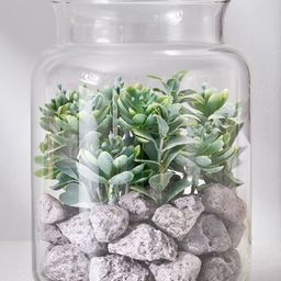 Home Centre Corsica Transparent Succulent in Glass Jar-image-48