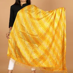 Apratim Printed Dupatta-picture-36