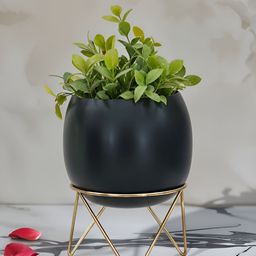 Royaloak Black Round Shaped Planter With Stand-image-16