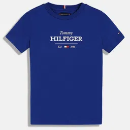 Tommy Hilfiger Boys Applique T-shirt-image-55