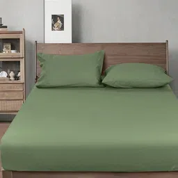 THE little BIG STORE Olive Green 300 TC King Bedsheet with 2 Pillow Covers-image-74