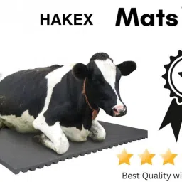 COW MAT_Waterproof_Rubber (Mat 8*5 Feet) BPA Free For Horse|| | Cow, Dog, Hamster, Guinea Pig, Miniature Pig Pet Mat-image-85