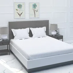 210 TC Cotton Crib Striped Flat Bedsheet-image-12
