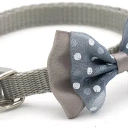 Dog & Cat Break Away Collar-22