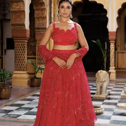 Ragavi Printed Ready to Wear Lehenga & Blouse With Dupatta-picture-6