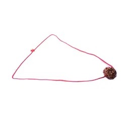 RAVIOUR LIFESTYLE Adults Circular Rudraksha Bead Pendants-1