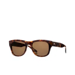 BARTON PERREIRA Unisex Brown UV Protected Wayfarer Sunglass-image-42