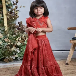 Vivedkids Girls Embroidered Ready to Wear Lehenga &-picture-24