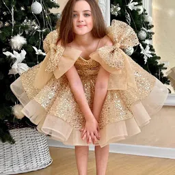 First Little Smile Embroidered Net Balloon Dress-image-16