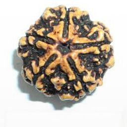 RAVIOUR LIFESTYLE Unisex Brown Pendant-image-88