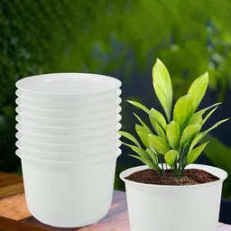 Kuber Industries 10Pcs White Textured Planters With Plate-90