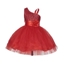 Wish little Girls Net One Shoulder Fit and Flare Dress-50