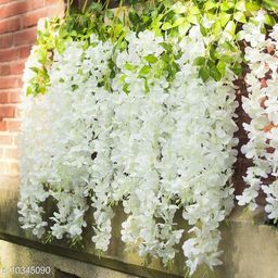 Attractive Plants-image-48