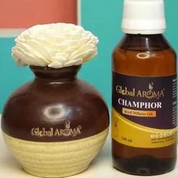 GLOBAL AROMA Camphor Fragracne Ethenic Flower Pot Reed Diffuser Set-6