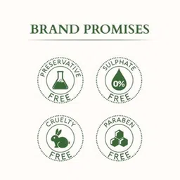 Lotus Organics+  Set Of 2 Intensive Scalp Care Shampoo- 210ml Each image 4