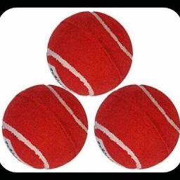 New-JS _204Pack of 6 Tennis Ball-image-92