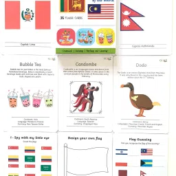 kyds play Flags Combo - Flags + Flags 2, Wipe & Clean Activity Flash Cards image 2