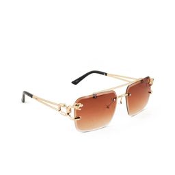 BAYBERRY Unisex Brown Lens & Gold-Toned Square Sunglasses with-13