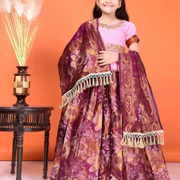 BAESD Girls Embroidered Sequinned Ready to Wear Lehenga & Blouse With Dupatta-image-84
