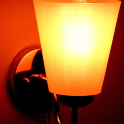 KINIS Silver-Toned & Orange Textured Metal Frustum Shaped Wall Lamp With Bulb-13