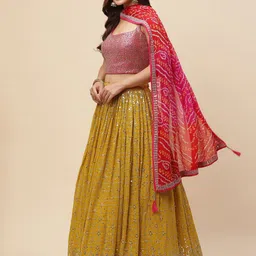 DIVASTRI Embellished Sequinned Semi-Stitched Lehenga & Unstitched Blouse With Dupatta image 2