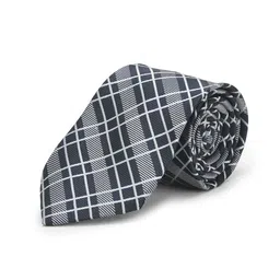 Cazzano Men Checked Skinny Tie-image-38