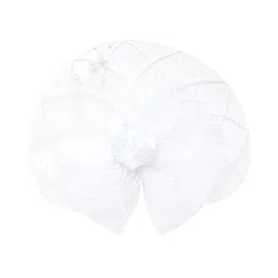 Radhu & Kabby Women Alligator Hair Clip-41