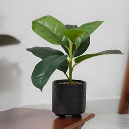 Royaloak Green 1 Pieces Artificial Plant With Pot-image-71