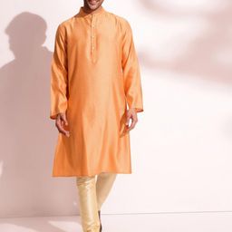 Fabindia Ethnic Motifs Woven Design Mandarin Collar Straight Kurta-picture-11