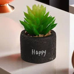 Ekhasa Green 1 Pieces Succulent Artificial Plant With Pot-27