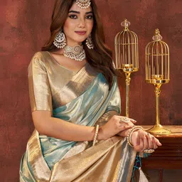 100 Dreams Woven Design Zari Organza Banarasi Saree With Blouse-picture-47