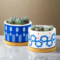 Ekhasa Blue & White 2 Pieces Printed Ceramic Succulent Planters With Saucer-13