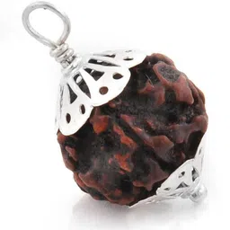 RAVIOUR LIFESTYLE Unisex Brown Pendant-image-95