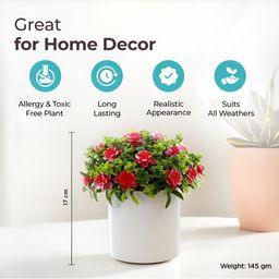 The Better Home Green 1 Pieces Core With Pot image 3