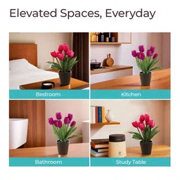 The Better Home Pink & Green 2 Pieces Tulip Core With Pot image 2